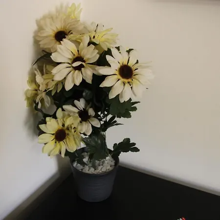 Bed and Breakfast Alexander-room And Breakfast Παλέρμο